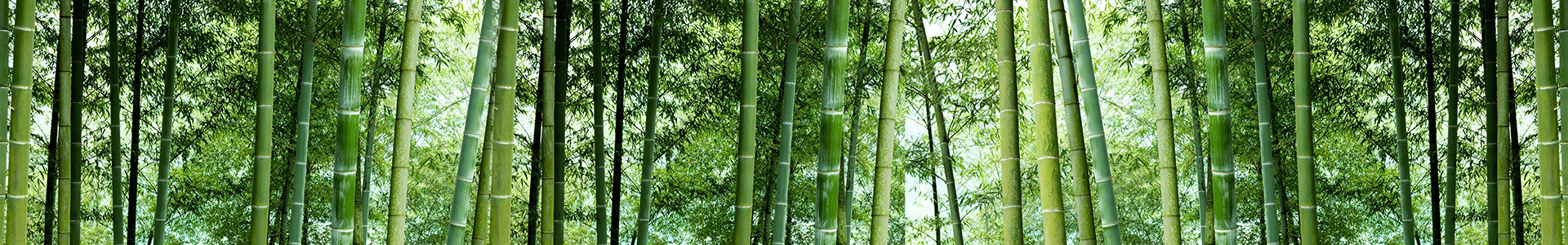 企業(yè)榮譽(yù)
